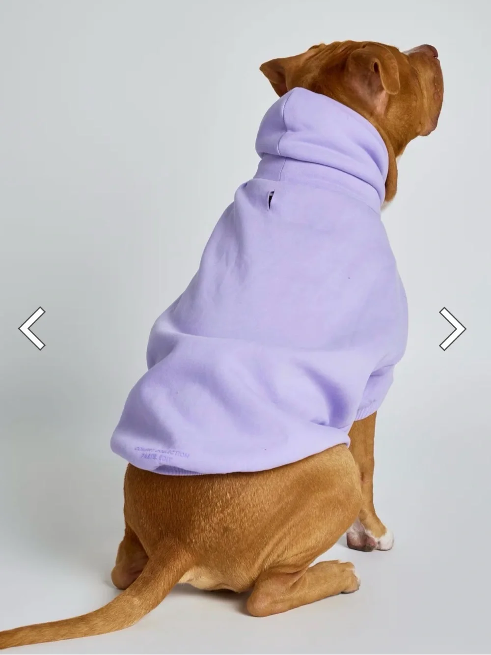 Cozy Lilac Dog Hoodie – Soft Pullover Pet Sweatshirt